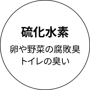硫化水素　卵や野菜の腐敗臭　トイレの臭い