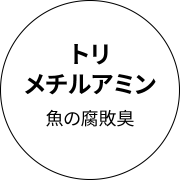 トリメチルアミン　魚の腐敗臭