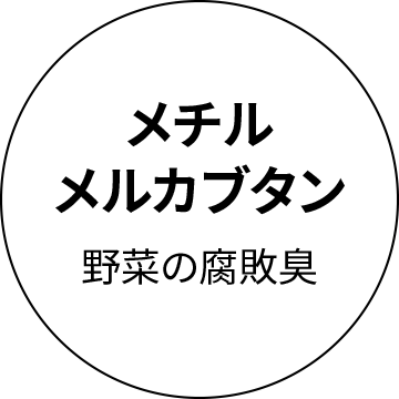 メチルメルカブタン　野菜の腐敗臭
