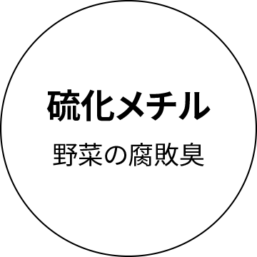 硫化メチル　野菜の腐敗臭