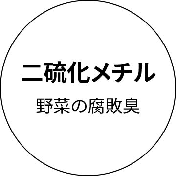 二硫化メチル　野菜の腐敗臭